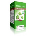 Arkogélules Shan Zha 45 gélules Favorise la dégradation des graisses ShanZha Arkopharma