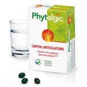 Phytalgic Articulation Pack 1 Mois Phytéa Composition